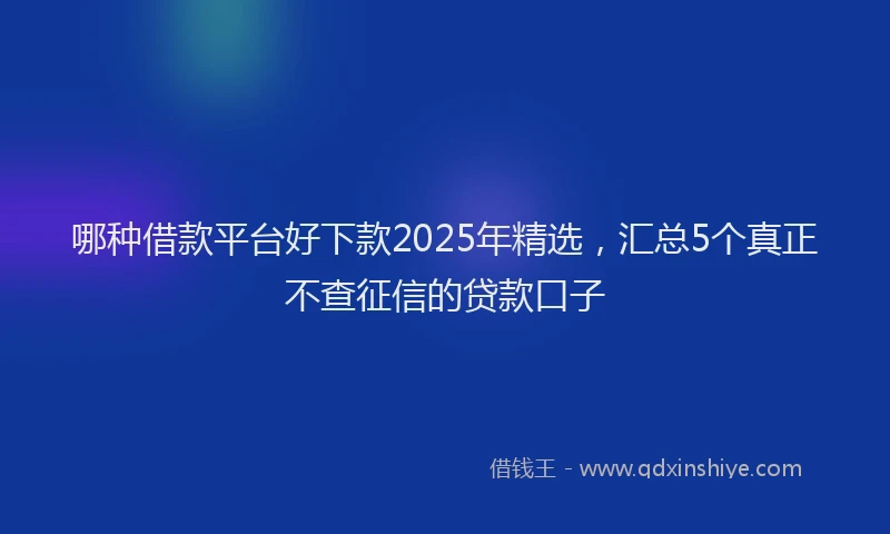 哪种借款平台好下款2025年精选，汇总5个真正不查征信的贷款口子