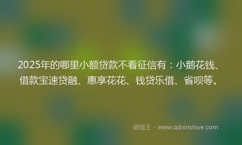 2025年的哪里小额贷款不看征信有：小鹅花钱、借款宝速贷融、惠享花花、钱贷乐借、省呗等。