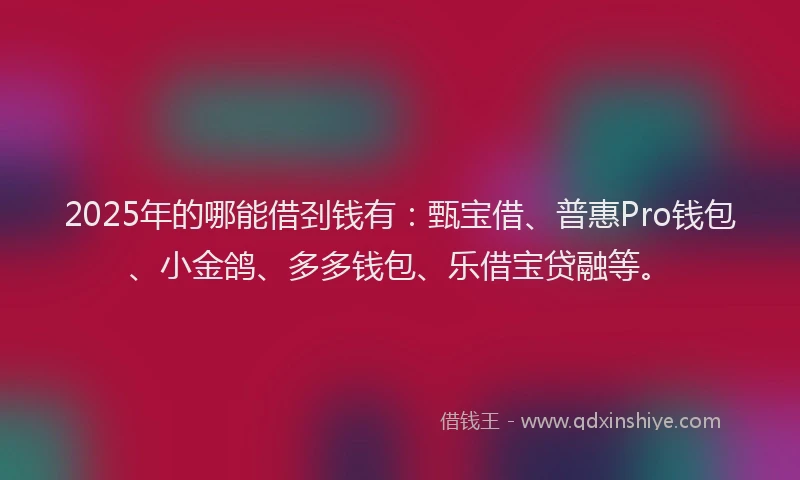 2025年的哪能借刭钱有：甄宝借、普惠Pro钱包、小金鸽、多多钱包、乐借宝贷融等。
