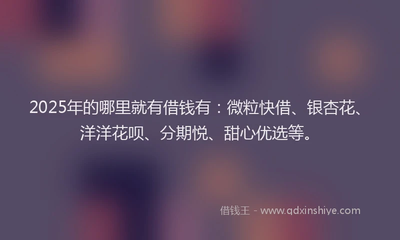 2025年的哪里就有借钱有：微粒快借、银杏花、洋洋花呗、分期悦、甜心优选等。