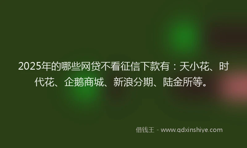 2025年的哪些网贷不看征信下款有：天小花、时代花、企鹅商城、新浪分期、陆金所等。