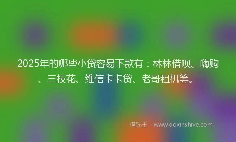 2025年的哪些小贷容易下款有：林林借呗、嗨购、三枝花、维信卡卡贷、老哥租机等。