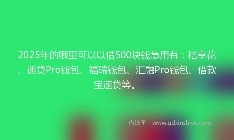 2025年的哪里可以以借500块钱急用有:桔享花、速贷Pro钱包、福瑞钱包、汇融Pro钱包、借款宝速贷等。
