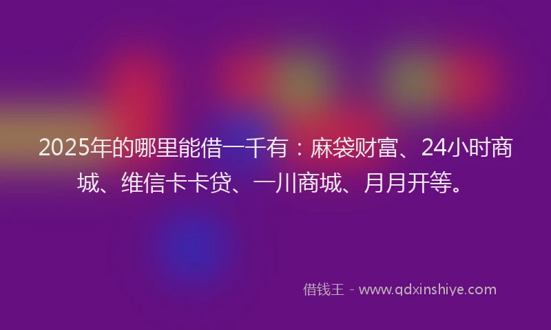 2025年的哪里能借一千有：麻袋财富、24小时商城、维信卡卡贷、一川商城、月月开等。