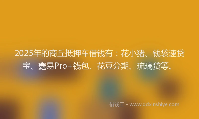 2025年的商丘抵押车借钱有：花小猪、钱袋速贷宝、鑫易Pro+钱包、花豆分期、琉璃贷等。
