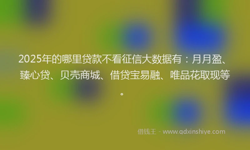 2025年的哪里贷款不看征信大数据有：月月盈、臻心贷、贝壳商城、借贷宝易融、唯品花取现等。