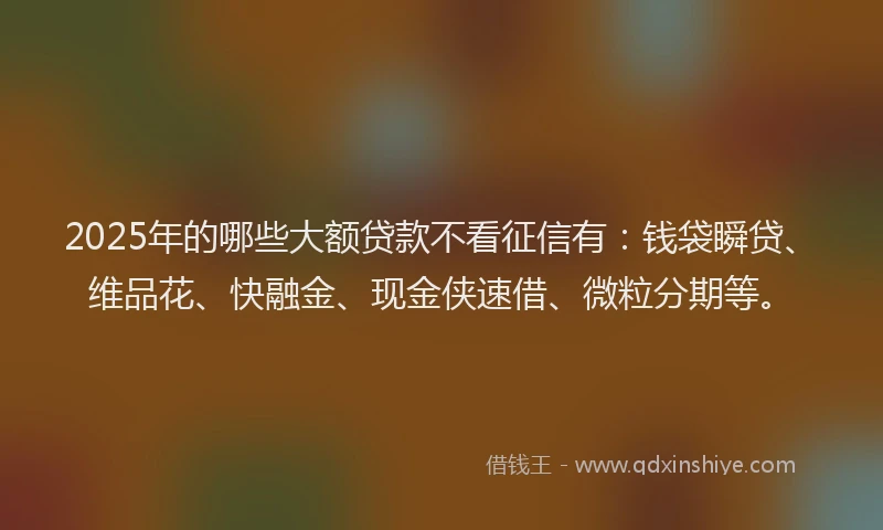 2025年的哪些大额贷款不看征信有：钱袋瞬贷、维品花、快融金、现金侠速借、微粒分期等。