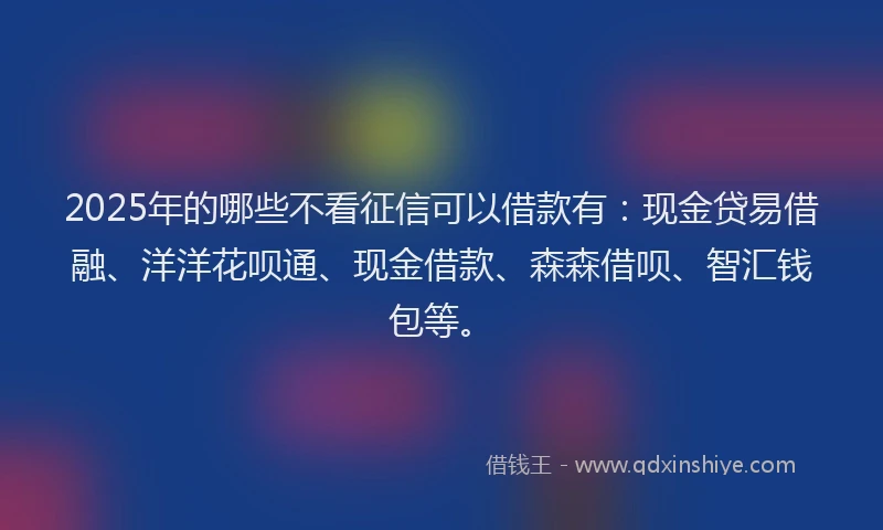 2025年的哪些不看征信可以借款有：现金贷易借融、洋洋花呗通、现金借款、森森借呗、智汇钱包等。