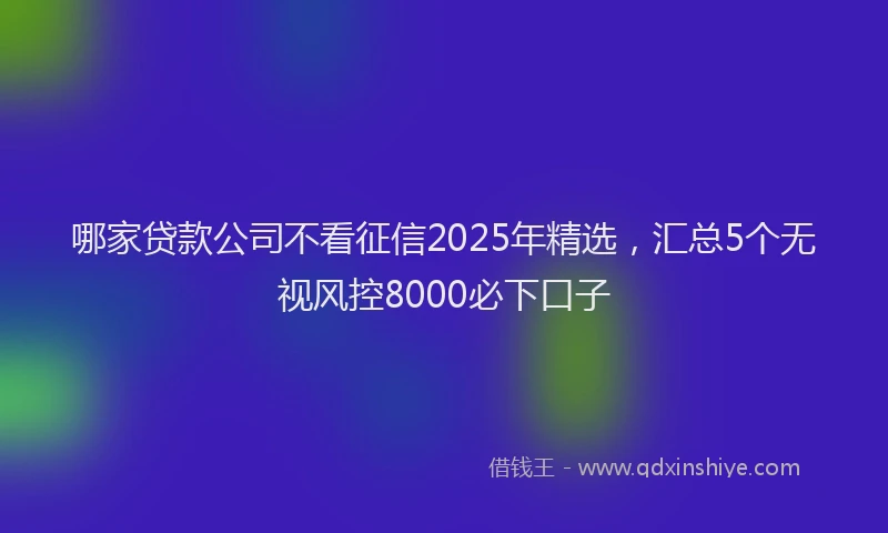 哪家贷款公司不看征信2025年精选，汇总5个无视风控8000必下口子