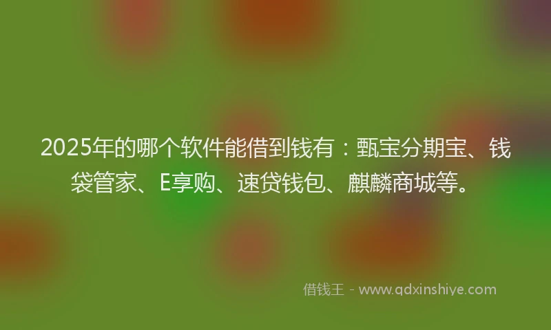 2025年的哪个软件能借到钱有：甄宝分期宝、钱袋管家、E享购、速贷钱包、麒麟商城等。