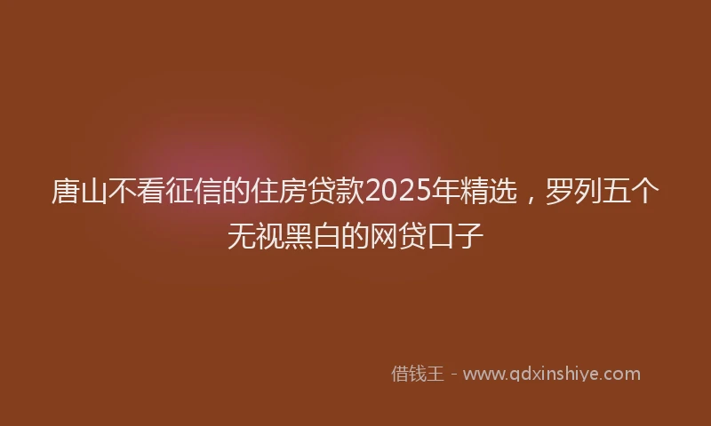唐山不看征信的住房贷款2025年精选，罗列五个无视黑白的网贷口子