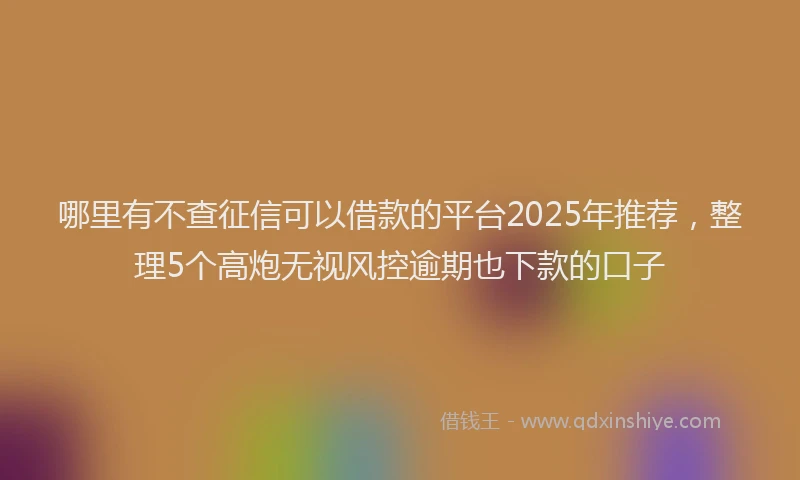哪里有不查征信可以借款的平台2025年推荐，整理5个高炮无视风控逾期也下款的口子