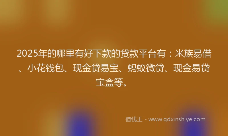 2025年的哪里有好下款的贷款平台有：米族易借、小花钱包、现金贷易宝、蚂蚁微贷、现金易贷宝盒等。