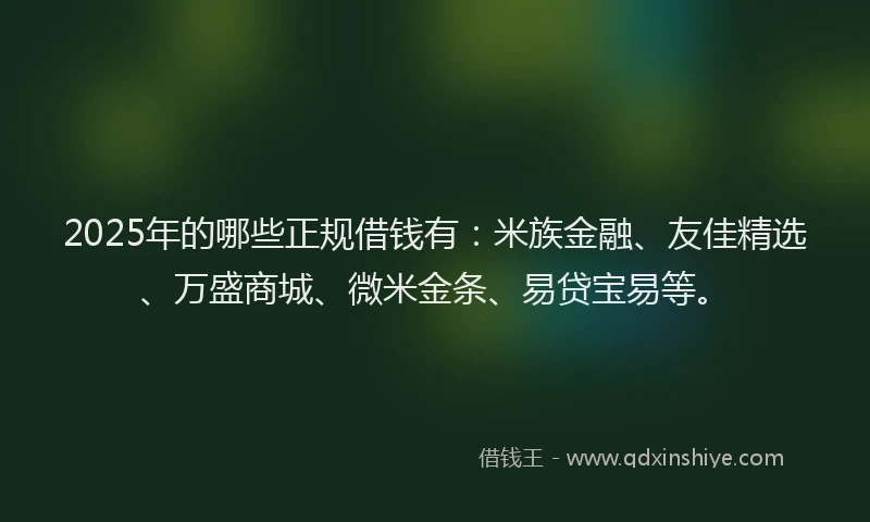 2025年的哪些正规借钱有：米族金融、友佳精选、万盛商城、微米金条、易贷宝易等。