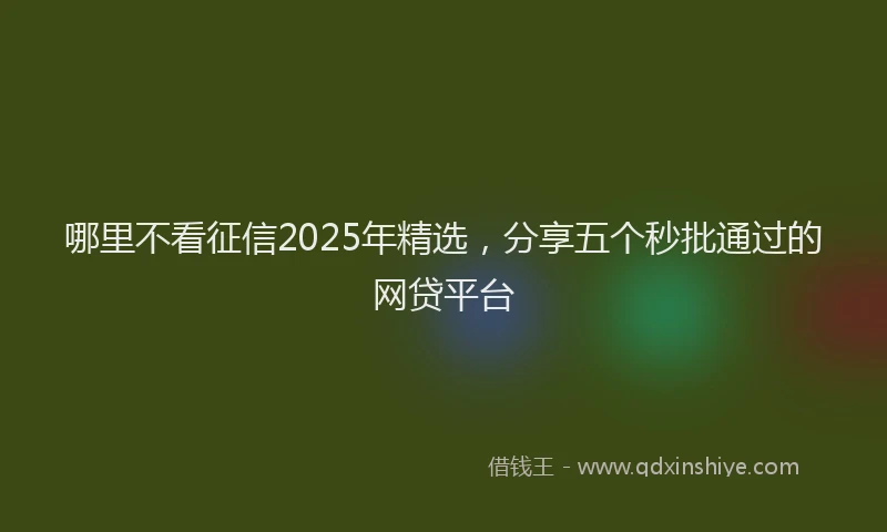 哪里不看征信2025年精选，分享五个秒批通过的网贷平台