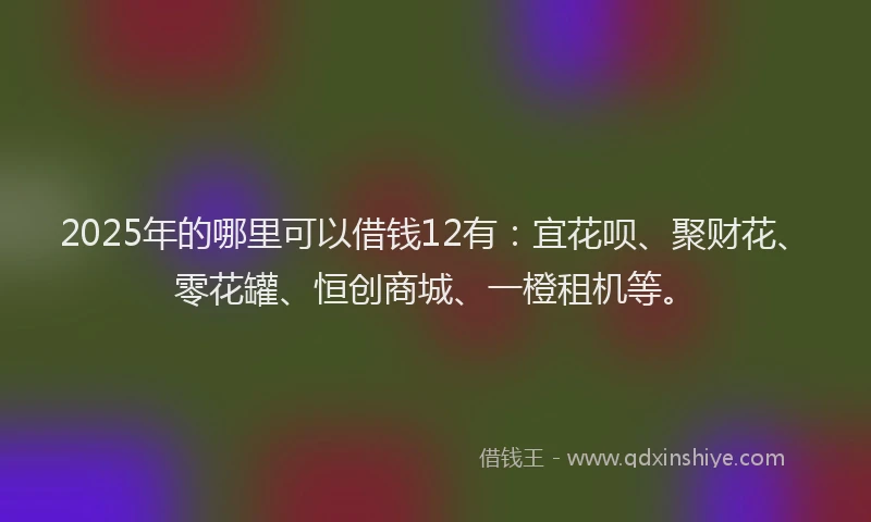 2025年的哪里可以借钱12有：宜花呗、聚财花、零花罐、恒创商城、一橙租机等。