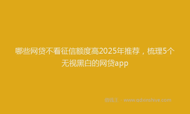 哪些网贷不看征信额度高2025年推荐，梳理5个无视黑白的网贷app