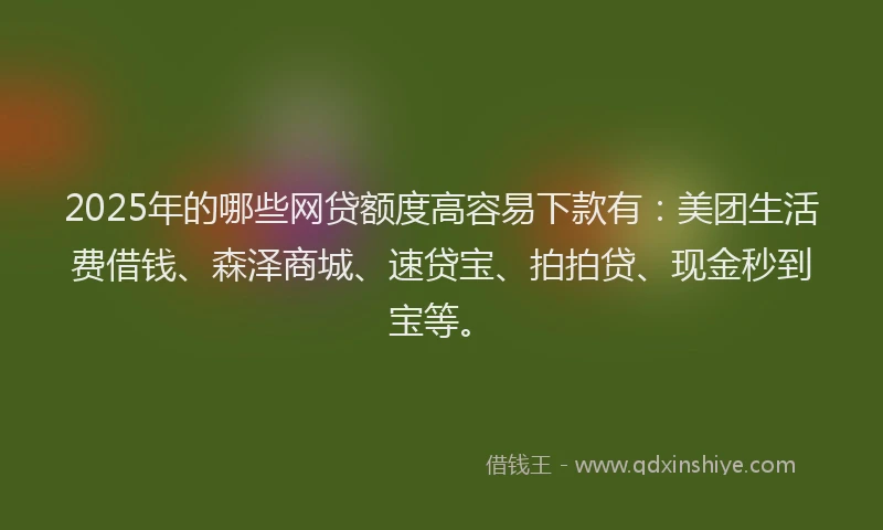 2025年的哪些网贷额度高容易下款有：美团生活费借钱、森泽商城、速贷宝、拍拍贷、现金秒到宝等。