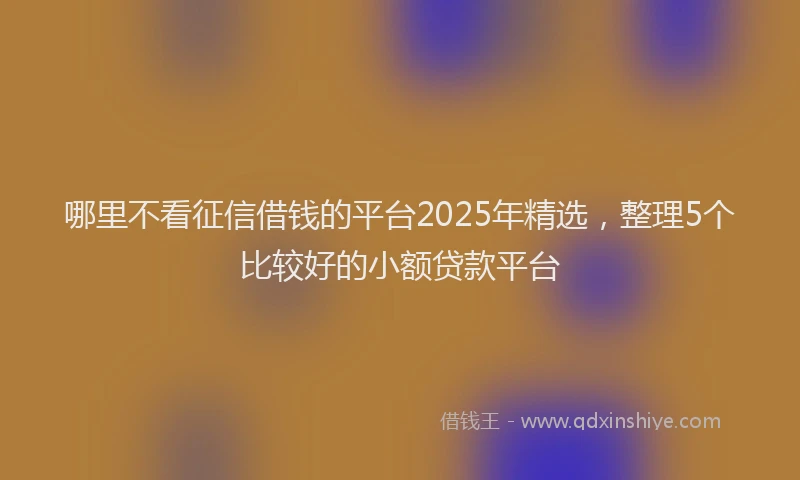 哪里不看征信借钱的平台2025年精选，整理5个比较好的小额贷款平台