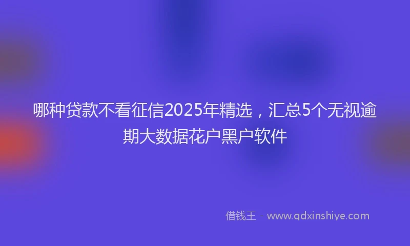 哪种贷款不看征信2025年精选，汇总5个无视逾期大数据花户黑户软件
