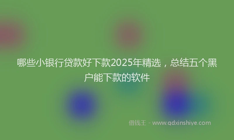 哪些小银行贷款好下款2025年精选，总结五个黑户能下款的软件