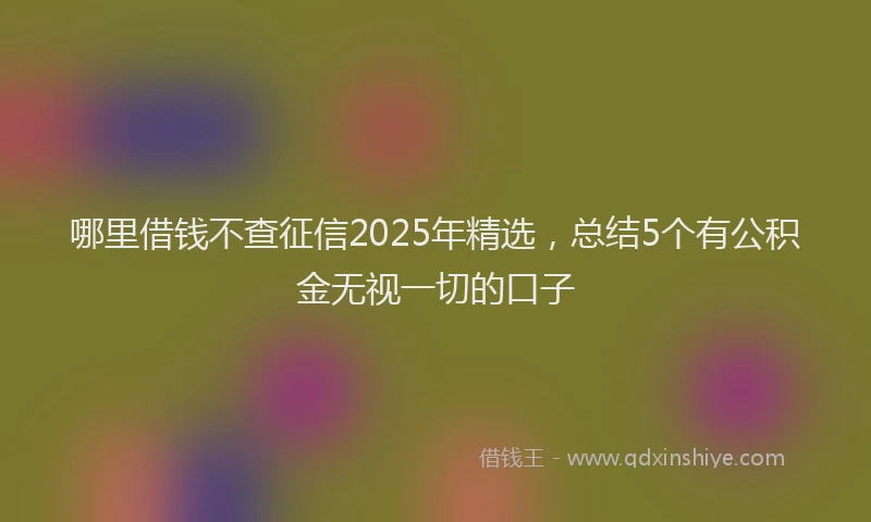 哪里借钱不查征信2025年精选，总结5个有公积金无视一切的口子