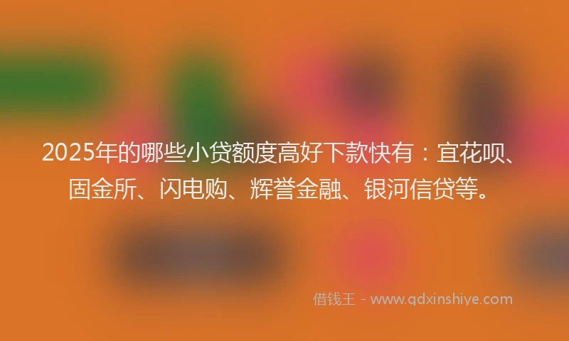 2025年的哪些小贷额度高好下款快有：宜花呗、固金所、闪电购、辉誉金融、银河信贷等。