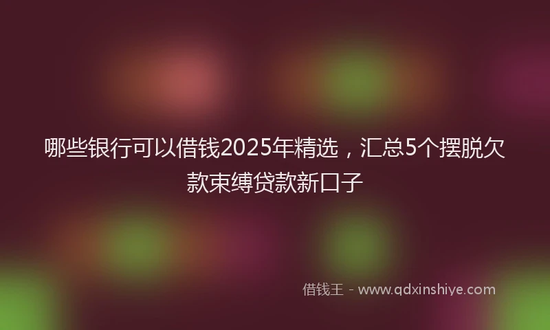 哪些银行可以借钱2025年精选，汇总5个摆脱欠款束缚贷款新口子