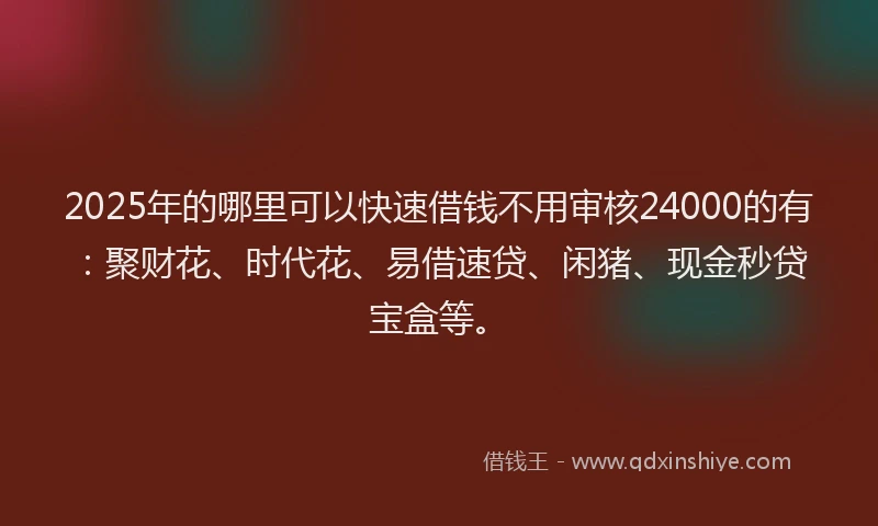 2025年的哪里可以快速借钱不用审核24000的有：聚财花、时代花、易借速贷、闲猪、现金秒贷宝盒等。