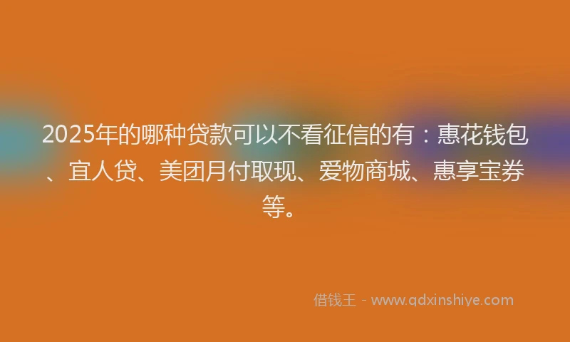 2025年的哪种贷款可以不看征信的有：惠花钱包、宜人贷、美团月付取现、爱物商城、惠享宝券等。