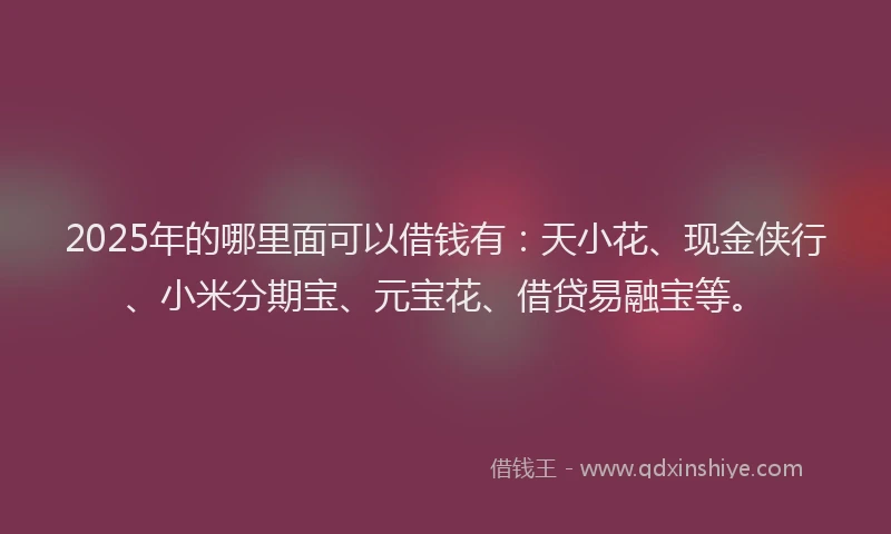 2025年的哪里面可以借钱有：天小花、现金侠行、小米分期宝、元宝花、借贷易融宝等。