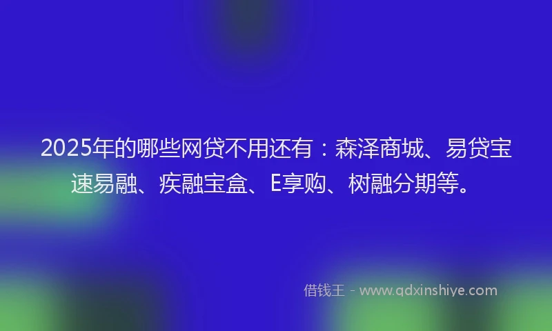 2025年的哪些网贷不用还有：森泽商城、易贷宝速易融、疾融宝盒、E享购、树融分期等。
