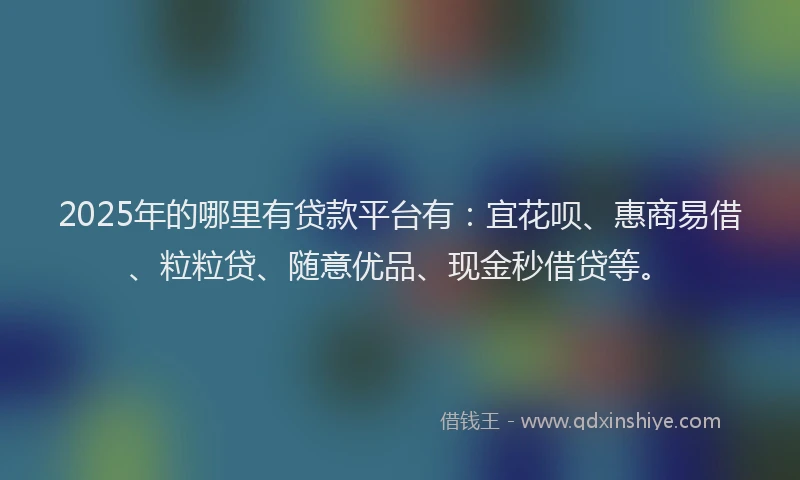 2025年的哪里有贷款平台有：宜花呗、惠商易借、粒粒贷、随意优品、现金秒借贷等。