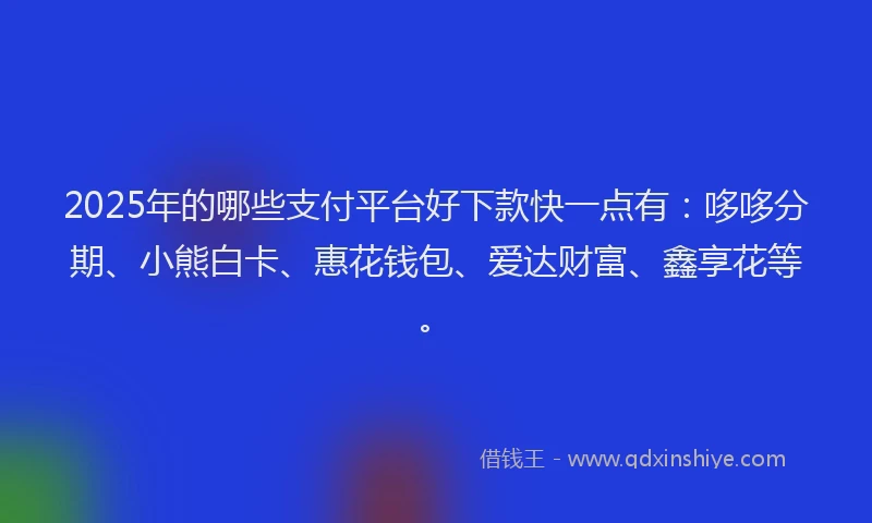 2025年的哪些支付平台好下款快一点有：哆哆分期、小熊白卡、惠花钱包、爱达财富、鑫享花等。