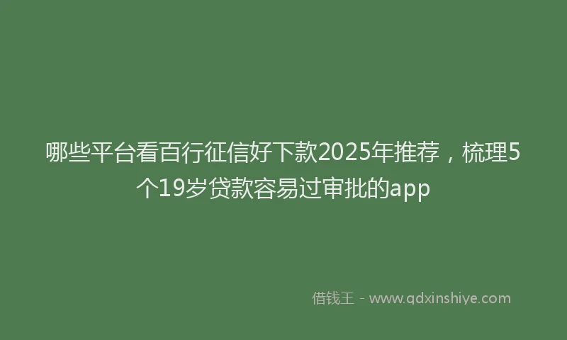 哪些平台看百行征信好下款2025年推荐，梳理5个19岁贷款容易过审批的app