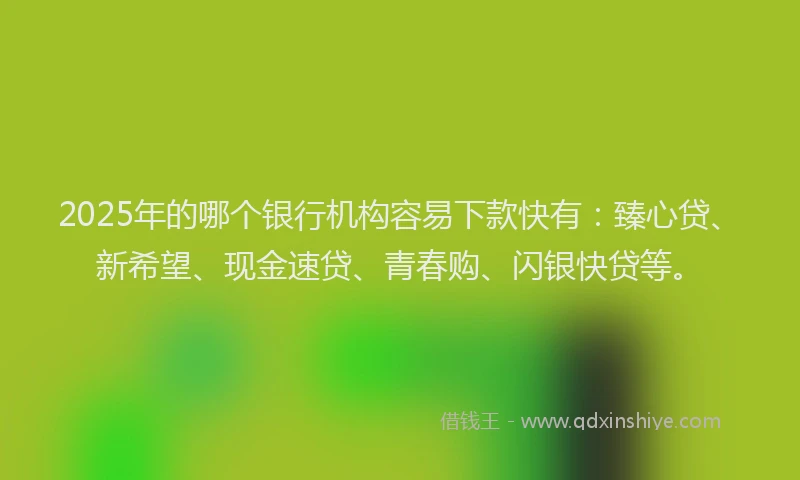 2025年的哪个银行机构容易下款快有：臻心贷、新希望、现金速贷、青春购、闪银快贷等。