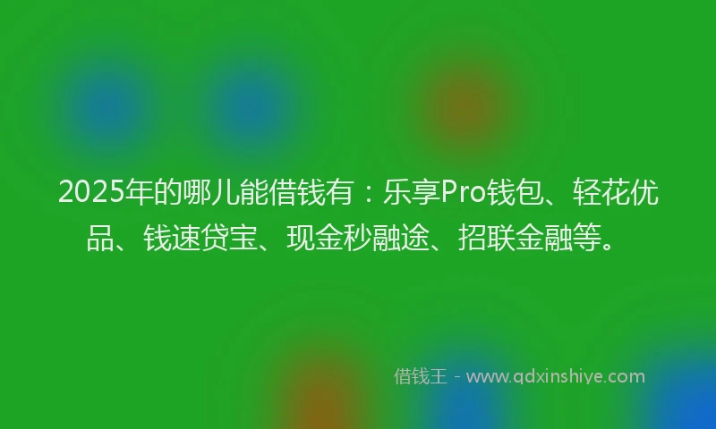 2025年的哪儿能借钱有：乐享Pro钱包、轻花优品、钱速贷宝、现金秒融途、招联金融等。