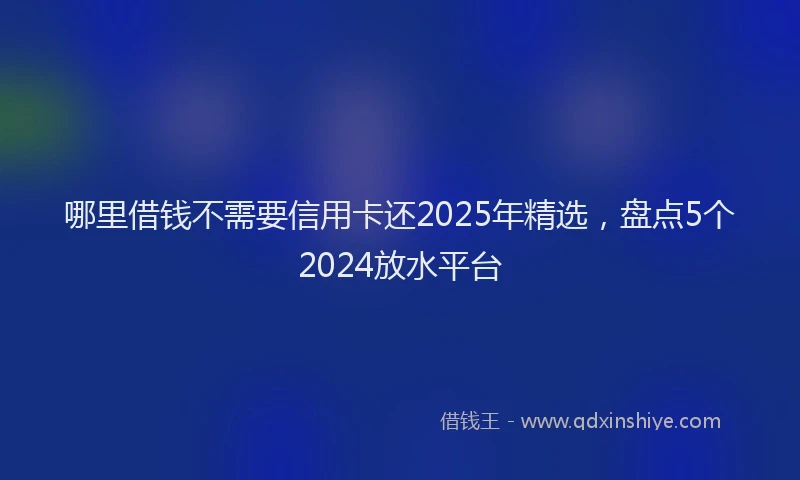 哪里借钱不需要信用卡还2025年精选，盘点5个2024放水平台