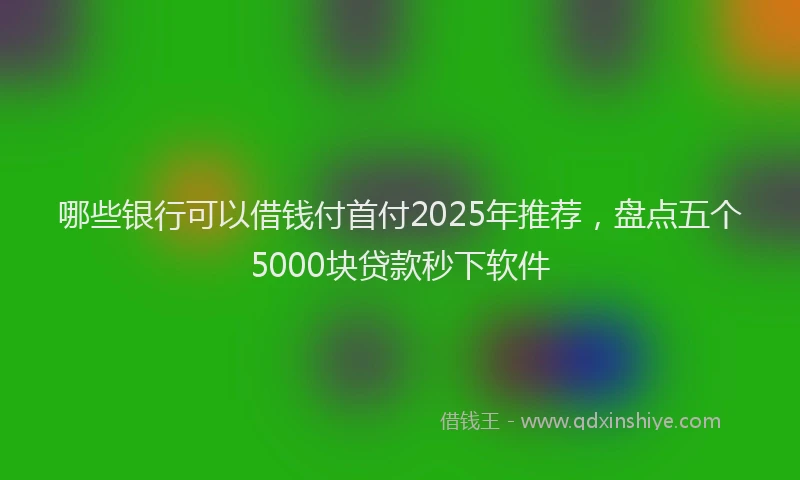哪些银行可以借钱付首付2025年推荐,盘点五个5000块贷款秒下软件