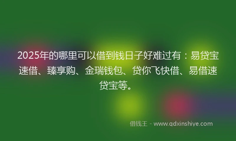 2025年的哪里可以借到钱日子好难过有：易贷宝速借、臻享购、金瑞钱包、贷你飞快借、易借速贷宝等。