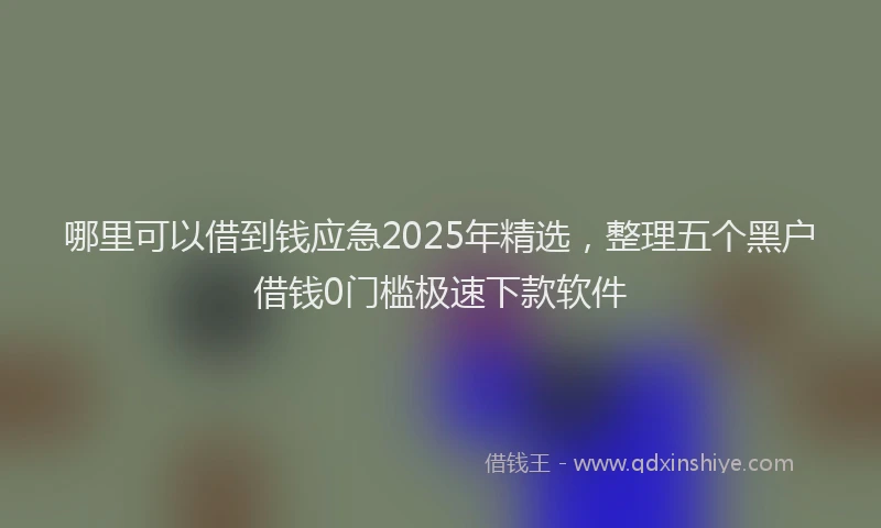 哪里可以借到钱应急2025年精选，整理五个黑户借钱0门槛极速下款软件