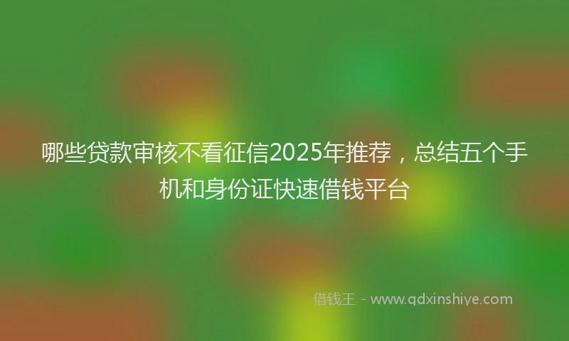 哪些贷款审核不看征信2025年推荐，总结五个手机和身份证快速借钱平台