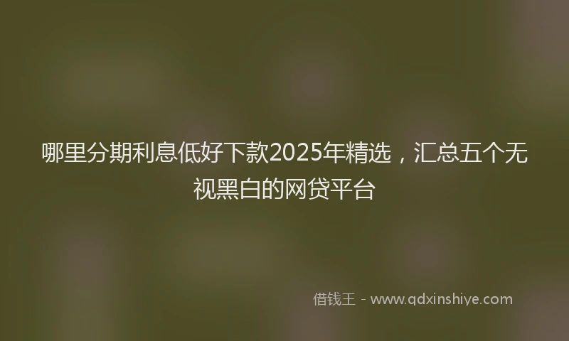 哪里分期利息低好下款2025年精选，汇总五个无视黑白的网贷平台