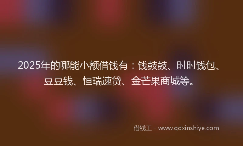 2025年的哪能小额借钱有：钱鼓鼓、时时钱包、豆豆钱、恒瑞速贷、金芒果商城等。