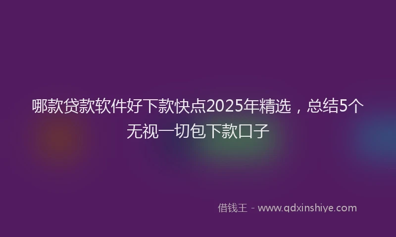 哪款贷款软件好下款快点2025年精选，总结5个无视一切包下款口子