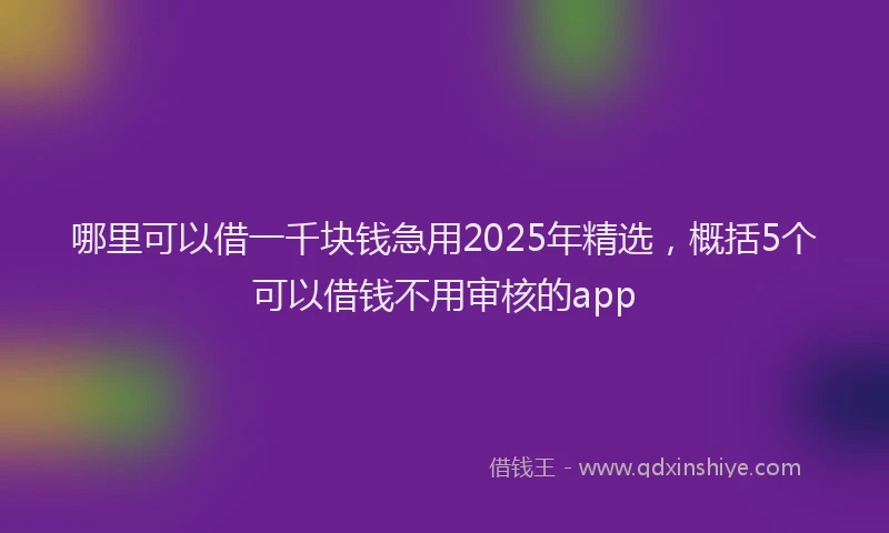 哪里可以借一千块钱急用2025年精选，概括5个可以借钱不用审核的app