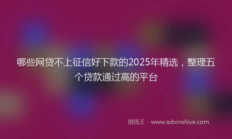 哪些网贷不上征信好下款的2025年精选，整理五个贷款通过高的平台