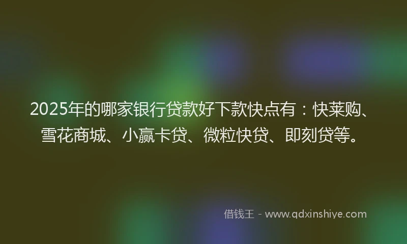 2025年的哪家银行贷款好下款快点有：快莱购、雪花商城、小赢卡贷、微粒快贷、即刻贷等。