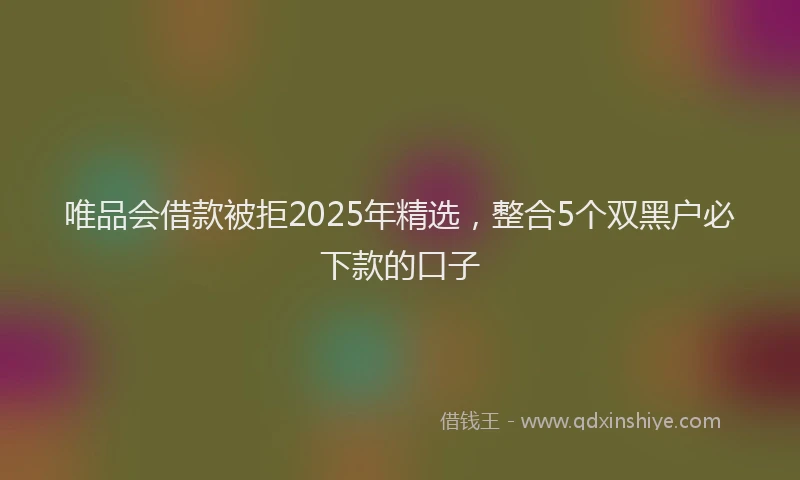 唯品会借款被拒2025年精选，整合5个双黑户必下款的口子