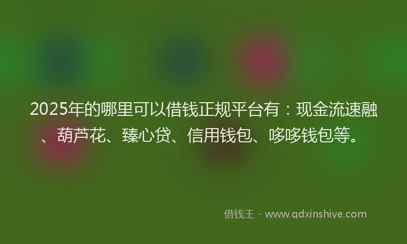 2025年的哪里可以借钱正规平台有：现金流速融、葫芦花、臻心贷、信用钱包、哆哆钱包等。